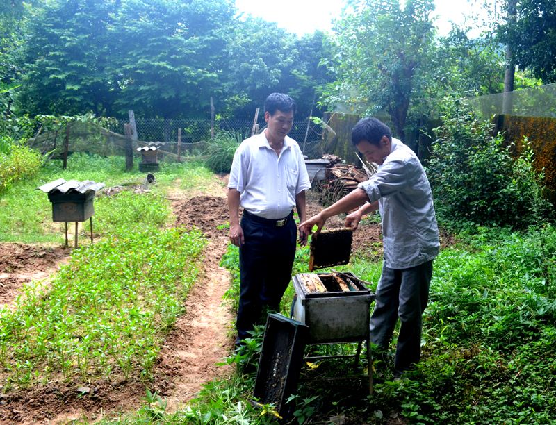 quang ninh tich cuc doi moi nang cao hieu qua hoat dong cua hop tac xa