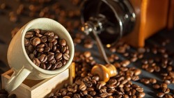 Giá cà phê hôm nay 23/7/2023: Giá cà phê trên đà hồi phục, nguồn cung bị đe dọa, giá thị trường còn khởi sắc?