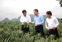 thuc day nong nghiep sach tu phan bon huu co