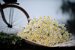 Dự báo thời tiết 10 ngày tới (từ đêm 4-14/12): Bắc Bộ trời rét, có nơi rét đậm, rét hại; Nam Bộ có mưa rào và dông