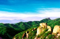 nhan sam my doi mat voi tuyet chung