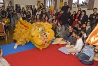 khai mac duong hoa nguyen hue tet dinh dau nam 2017