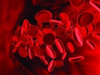 dem nhac chao mung nam huu nghi an do viet nam 2017