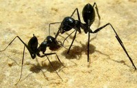 trung quoc se xay dung tram vu tru rieng vao nam 2017