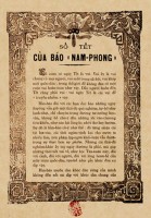 ngam ve dep diu dang cua dao phai nhat tan