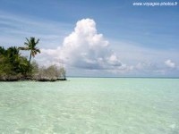 Maldives: “Ngoại giao khí hậu” là sống còn