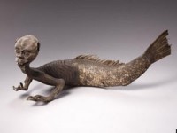 phuc hoi thanh cong xac uop cong chua ai cap