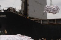 gao viet dang buoc lui