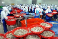 rau qua dang tro thanh diem sang trong xuat khau nong san