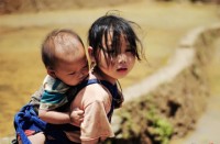 be hat tieu trong mat ban thuy dien