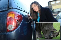 xe khach boc chay o dai loan do tai xe say ruou