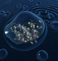 phan lan san xuat thanh cong protein bang dien va carbon dioxide