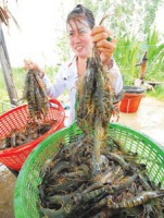 nguy co tu my tang dieu tra phong ve thuong mai