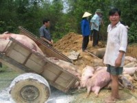 dich vu khoc muon tai dam tang len ngoi o dat nuoc ghana