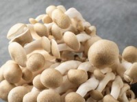 dang song phuc tap nhat the gioi co den 720 gioi tinh