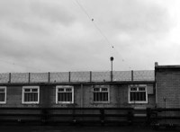 ong trum brazil dong gia con gai tuoi teen toi tham de vuot nguc