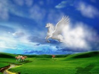 nhung khoanh khac ky thu ngan nam co mot trong cuoc song