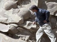 tim thay tang bo 2000 nam tuoi tai ireland