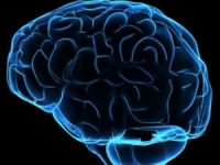 phat hien moi cua cac nha khoa hoc my trong dieu tri benh parkinson