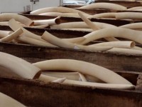 ngam 10 cong vien quoc gia dep nhat the gioi