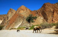 my cong bo thanh lap khu bao ton bien moi o dai tay duong