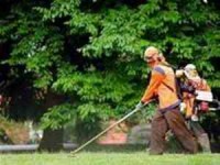 cau chuyen hoa nhap cua nguoi viet tai my