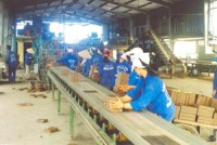 nang cao nhan thuc trong asean ve van de di cu lao dong