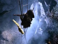 khach san sieu sang ben vach da