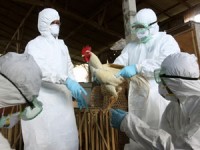 tin nhap 20170327221420