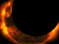 nguoi my nong long don nhat thuc toan phan sau mot the ky