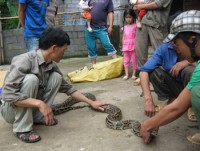 nguoi dan ong dung tay khong ha guc con tran khong lo dai 7m