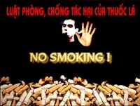 Phát động chiến dịch truyền thông phòng chống thuốc lá