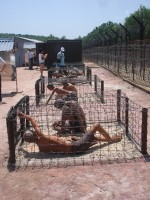 tin nhap 20170409190121