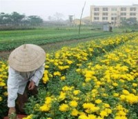 ho so monsanto gay nhieu quan ngai tai chau au