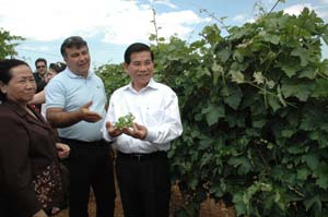 hop tac giua viet nam voi rumani hy lap va tho nhi ky nhung co hoi moi