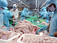 thuc day quang ba hinh anh va thuong mai mat hang ca tra