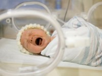 gsk duoc phep san xuat vaccine phong benh zona than kinh