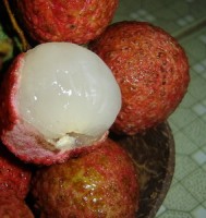 nhan duoc mua vai thieu xuat sang trung quoc nho lai chuyen xua