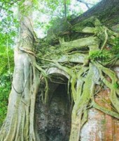 giao su nhat ban phuc dung mo hinh cong lang co duong lam