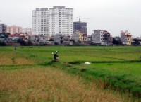 san xuat thanh cong dat nhan tao