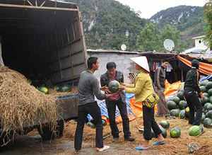 xuat khau nong san vao trung quoc phai co ly lich