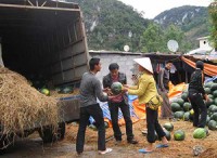 khong the mai giai cuu