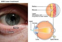 co be 5 tuoi lam doi mat cho cha