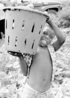 hang trieu tre em tro thanh nan nhan cua xung dot vu trang tai yemen