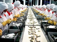 doanh nghiep viet nam co the duoc hoa ky hoan tra nhieu trieu usd