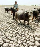 nguoi dan ong dung tay khong ha guc con tran khong lo dai 7m