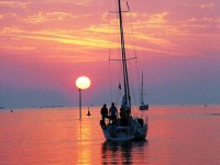 phat hien moi nhat ve su ton tai cua nguoi co dai ben ngoai chau phi