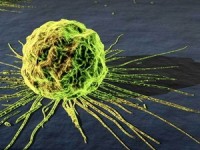 methadone ho tro hieu qua cho dieu tri ung thu