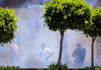 tay ban nha bat ngo phat hien bom giau tinh vi trong sach co