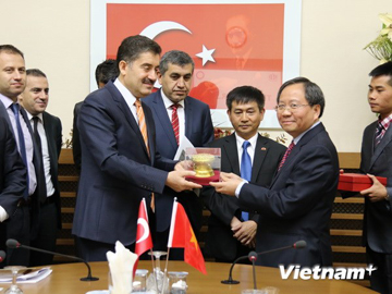 viet nam va tho nhi ky ky hiep dinh tranh danh thue hai lan